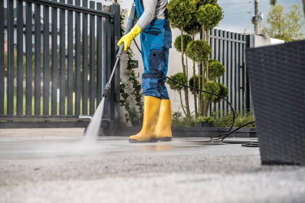 Animal Enclosure Cleaning in Silver Creek, NY